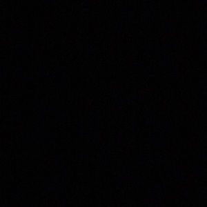 Meet your Posher, Arianna